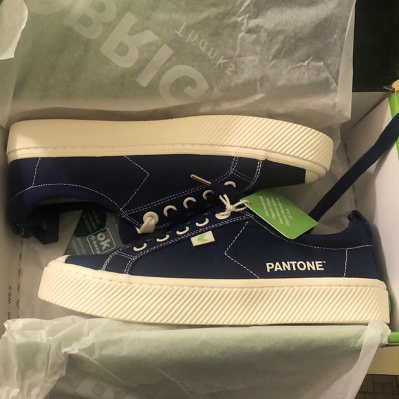 cariuma x pantone
